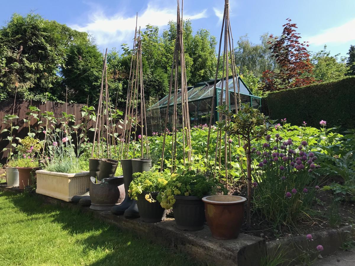 Tresillian House Bed and Breakfast Melton Mowbray Eksteriør billede