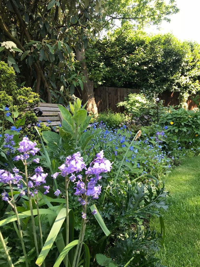 Tresillian House Bed and Breakfast Melton Mowbray Eksteriør billede